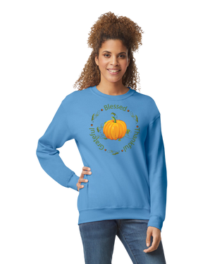 long sleeve sweat shirt