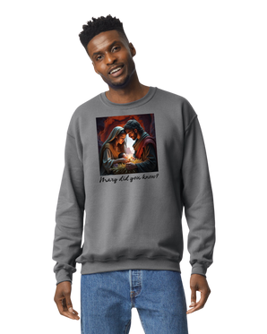 long sleeve sweat shirt Christmas